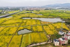 天然资本、农业农村等相关部分该当加强监